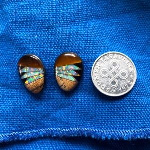 Sterling/opal/onyx earrings